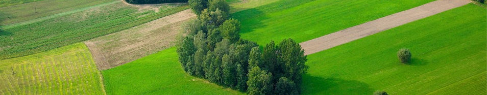 Zdjęcia z regionu proszowckiego - 1.