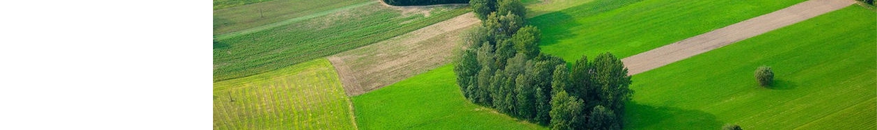 Zdjęcia z regionu proszowckiego - 4.