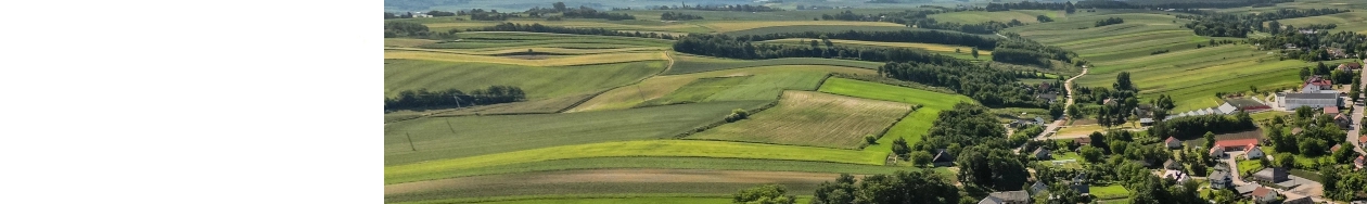 Zdjęcia z regionu proszowckiego - 5.